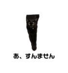 黒猫エヴァスタンプ改（個別スタンプ：10）