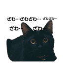 黒猫エヴァスタンプ改（個別スタンプ：15）
