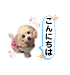 ココミルちゃん by晩ママ（個別スタンプ：3）