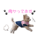 ココミルちゃん by晩ママ（個別スタンプ：6）
