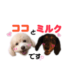 ココミルちゃん by晩ママ（個別スタンプ：7）