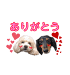 ココミルちゃん by晩ママ（個別スタンプ：8）
