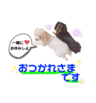 ココミルちゃん by晩ママ（個別スタンプ：10）
