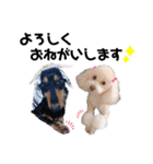 ココミルちゃん by晩ママ（個別スタンプ：11）