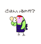 コザクラインコのおでんちゃん(シュフ編)（個別スタンプ：1）