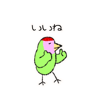 コザクラインコのおでんちゃん(シュフ編)（個別スタンプ：6）