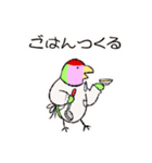 コザクラインコのおでんちゃん(シュフ編)（個別スタンプ：14）
