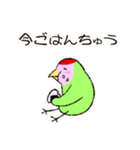コザクラインコのおでんちゃん(シュフ編)（個別スタンプ：31）
