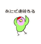 コザクラインコのおでんちゃん(シュフ編)（個別スタンプ：36）