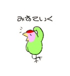 コザクラインコのおでんちゃん(シュフ編)（個別スタンプ：37）