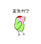 コザクラインコのおでんちゃん(シュフ編)（個別スタンプ：39）