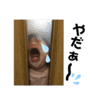 いとちゃんだよ♡（個別スタンプ：31）