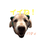 DLS（個別スタンプ：7）