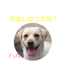 DLS（個別スタンプ：11）