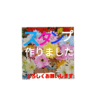 文字と写真（個別スタンプ：1）