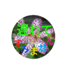 文字と写真（個別スタンプ：20）