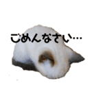 ミルチョコスタンプ（個別スタンプ：3）