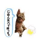 ミルチョコスタンプ（個別スタンプ：12）