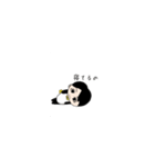 イケかわシリーズ（個別スタンプ：16）