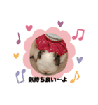 kokko_a（個別スタンプ：9）