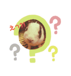 kokko_a（個別スタンプ：15）