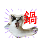 トラチワちゃん♪♪♪♪♪（個別スタンプ：4）