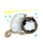 トラチワちゃん♪♪♪♪♪（個別スタンプ：6）