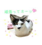 トラチワちゃん♪♪♪♪♪（個別スタンプ：7）