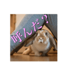 うさぎのゆきちゃん【ちょい悪版】（個別スタンプ：2）