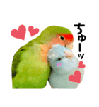 小桜インコラッキー＆マメルリハそらパート5（個別スタンプ：20）
