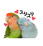 小桜インコラッキー＆マメルリハそらパート5（個別スタンプ：22）
