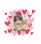 ペロリーヌ（個別スタンプ：3）