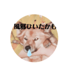 ペロリーヌ（個別スタンプ：8）