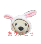 てちゅ萌え萌えスタンプ（個別スタンプ：3）