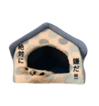 リアル黒猫スタンプ2（個別スタンプ：5）