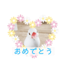 文鳥マナちゃんの開運スタンプ2-ご挨拶編-（個別スタンプ：2）