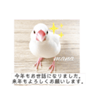 文鳥マナちゃんの開運スタンプ2-ご挨拶編-（個別スタンプ：8）