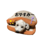 シュナウザー のパンくん＆ペロちゃん♡（個別スタンプ：1）