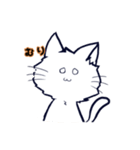 ネコの藍くん（個別スタンプ：13）
