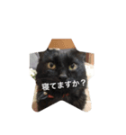 もみじスタンプ(希望)（個別スタンプ：2）