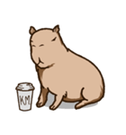 カピバラミルクティー（個別スタンプ：4）