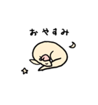 きょうりゅうがいる（個別スタンプ：2）