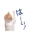 イチローすたんぷ 2（個別スタンプ：2）