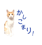 イチローすたんぷ 2（個別スタンプ：4）