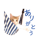 イチローすたんぷ 2（個別スタンプ：5）