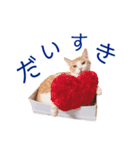 イチローすたんぷ 2（個別スタンプ：6）