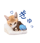 イチローすたんぷ 2（個別スタンプ：7）