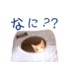 イチローすたんぷ 2（個別スタンプ：8）