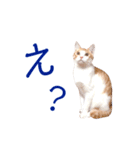 イチローすたんぷ 2（個別スタンプ：9）