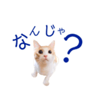 イチローすたんぷ 2（個別スタンプ：10）